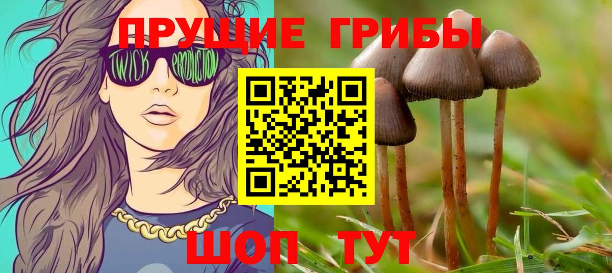 Псилоцибиновые грибы мухоморы  Псилоцибиновые грибы мухоморы  Елизово  Вход с VPN 