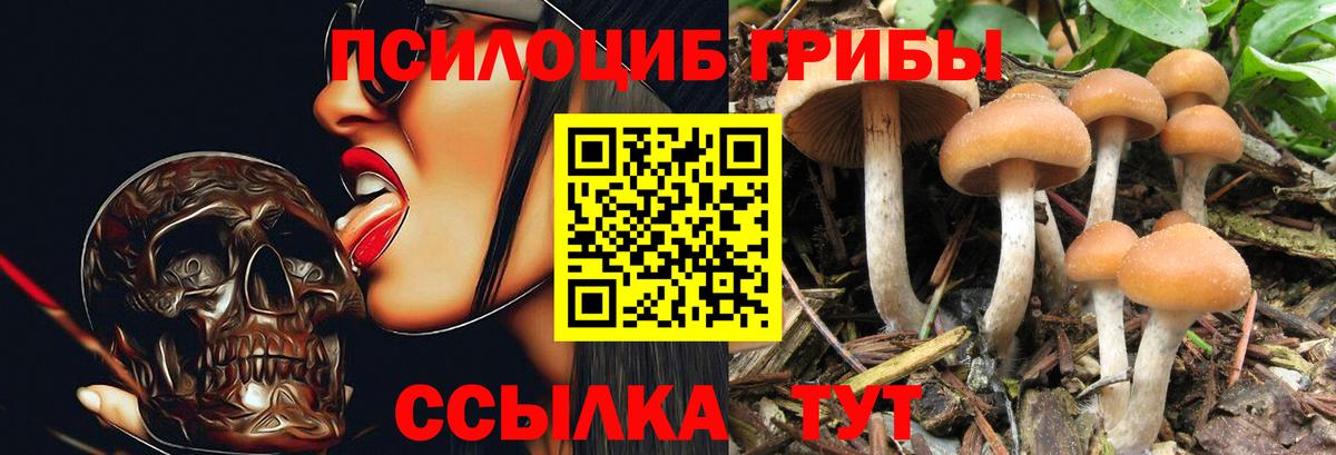 МЕФ  КОКАИН  Конопля  Елизово  Alpha PVP СОЛЬ   Каннабис  Вход с VPN  ГАШИШ  Меф  